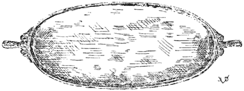 Apicius' Minutal of Pork and Apricot (Minutal Ex Praecoquis)