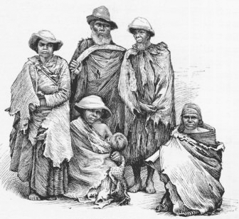 Queensland Natives