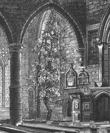 THE TREE IN ROSS CHURCH.