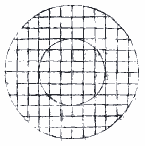 Cirkel verdeeld in vierkantjes.
