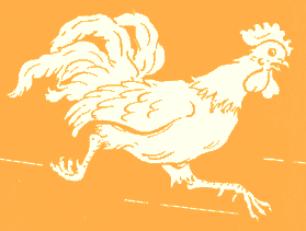 running rooster from endpaper