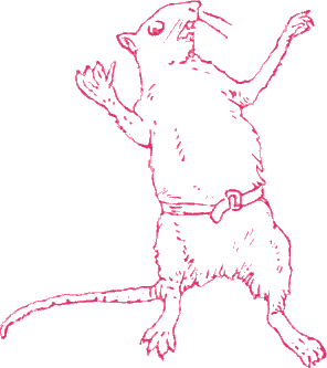 the mouse flings his hands up