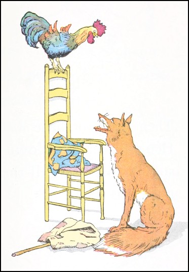 the fox looks up at the rooster