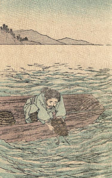 Image of fisherman in a boat, picking up a tortoise from the water.