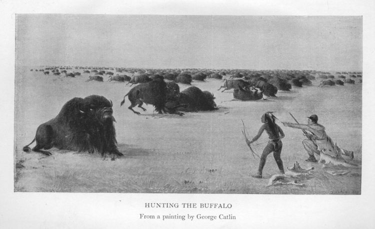 Hunting the Buffalo.  From a painting by George Catlin.