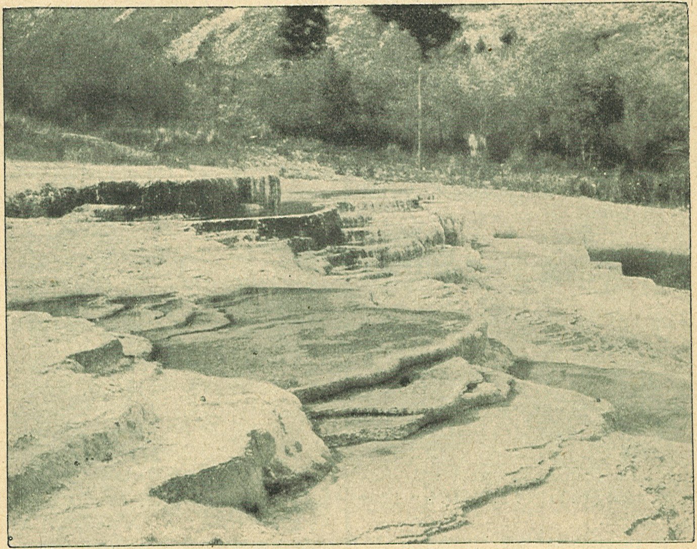 A meleg forrás nyílasa körül lerakódott
mészrétegek