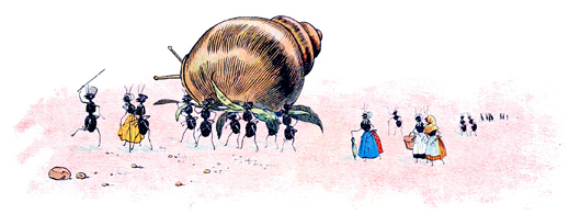 les fourmis fabriqu�rent une chaise � porteur