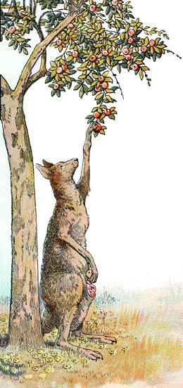 ils d�pouillaient les arbres du paradis