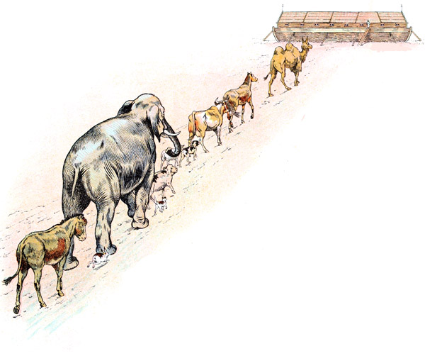 l'arriv�e des animaux dans l'arche