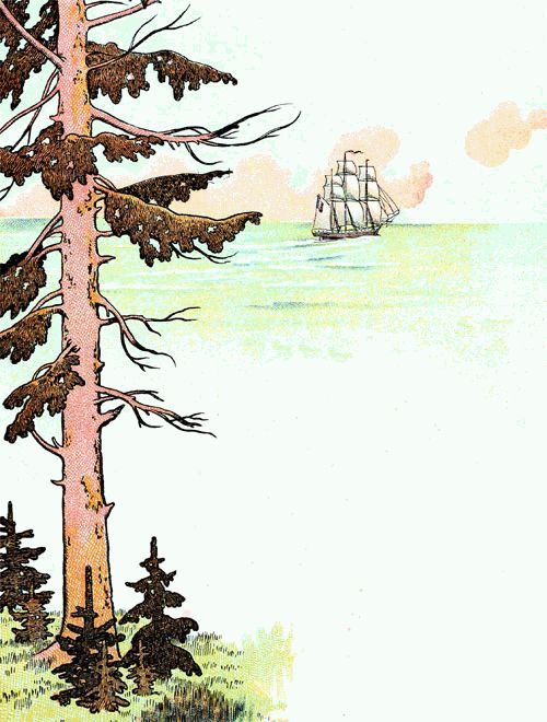 un petit sapin r�vait d'�tre m�t de navire