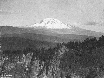 MOUNT ADAMS AND FOREST-COVERED FOOTHILLS.