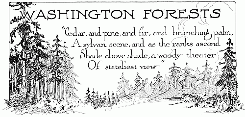 WASHINGTON FORESTS