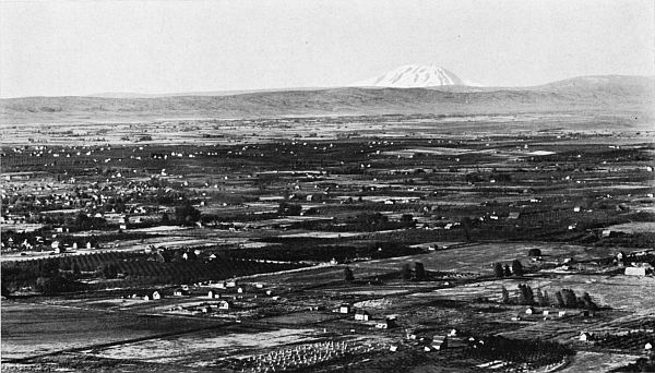 THE YAKIMA VALLEY—MOUNT ADAMS IN THE DISTANCE.