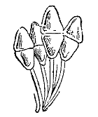 Fig. 59.