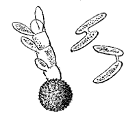 Fig. 90.