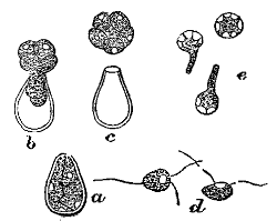 Fig. 91.