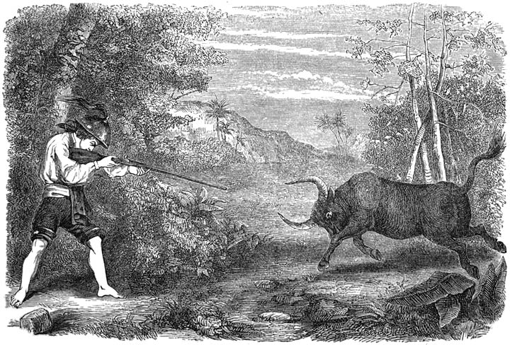 La Gironiere&rsquo;s First Shot at a Buffalo.