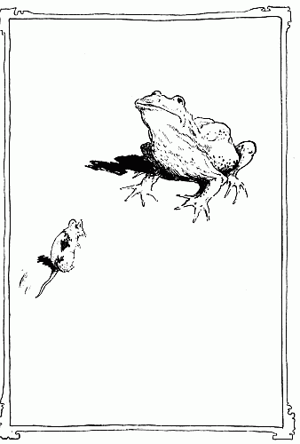 Frog and mouse