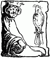 King and the parrot