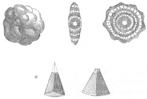 Various forms of hail-stones