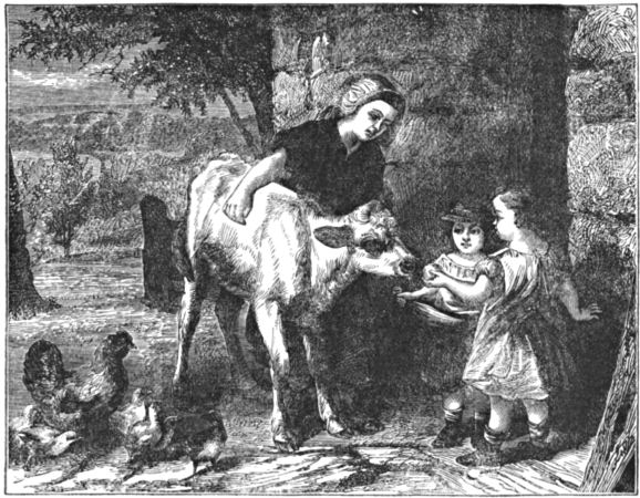 A woman and two children with a calf