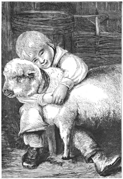 Neddy hugs the lamb