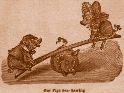Our Pigs See-Sawing.