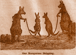 Our Kangaroos Skipping.