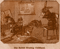 Our Rabbit Reading Childland.