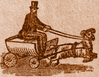 Riding a Goat-Drawn Carriage.