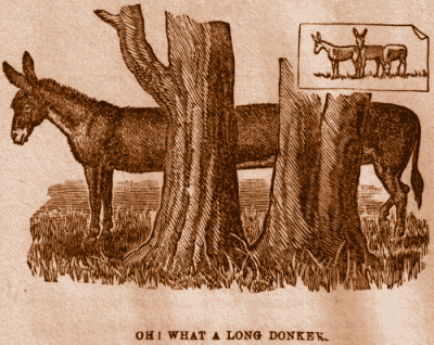 Oh! What a Long Donkey.