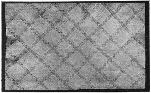 Plate LIV. A cheap Samar mat with woven-in design.