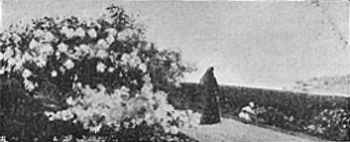 Não voltará mais―Arthur Loureiro Não voltará mais―Arthur Loureiro