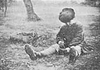 Aos grillos―Julio Ramos Aos grillos―Julio Ramos