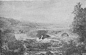 Lavadeiras na levada―Torquato Pinheiro Lavadeiras na levada―Torquato Pinheiro