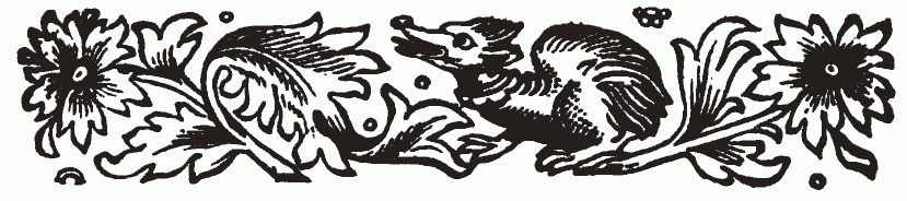 imagen (barra decorativa) no est� disponible