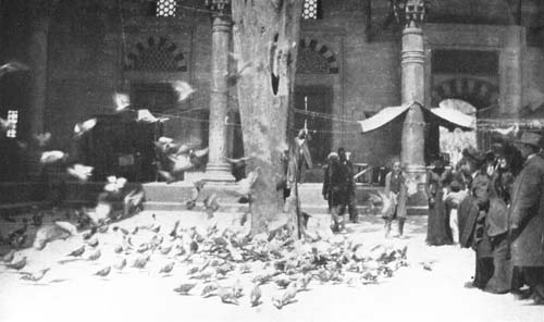 WE FED THE PIGEONS AT THE PIGEON MOSQUE.