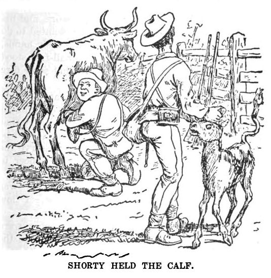 Shorty Held the Calf 195 