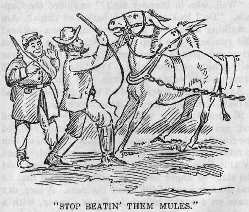 Stop Beatin' Them Mules' 22 