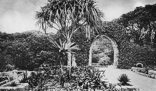 OLD ARCHES OF THE ABBEY WALL.
