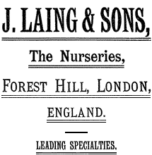 J. Laing and Sons The Nurseries, Forest Hill, London ENGLAND. LEADING SPECIALTIES.