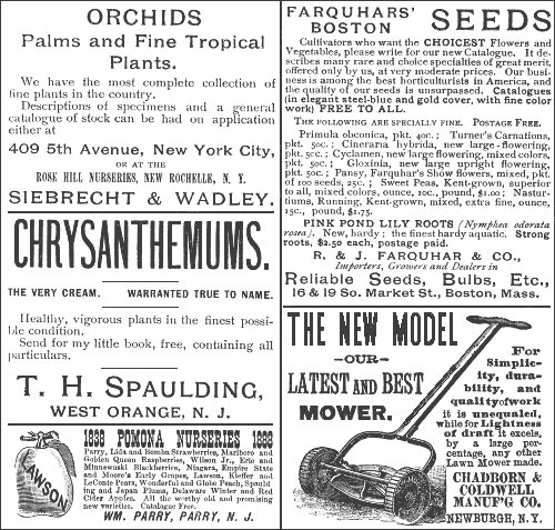 ORCHIDS Palms and Fine Tropical Plants; CHRYSANTHEMUMS; LAWSON 1838 POMONA NURSERIES 1888; FARQUHARS'; BOSTON SEEDS; THE NEW MODEL--OUR--LATEST and BEST MOWER.