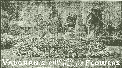 Vaughan's Chicago Parks Flowers