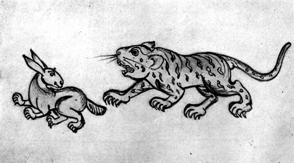 "Again the cunning hare deceived the tiger." Page 63.