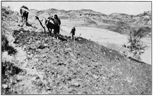 Fig. 1.&mdash;Ploughing on a Mountain-side with Native Plough.