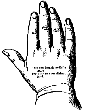 Bat's hand.