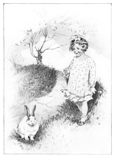 A RABBIT WORKS ITS EARS, AND TRIES
TO WATCH YOU WITH ITS RABBIT EYES