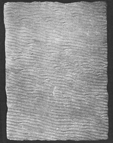 Potsdam sandstone showing ripple marks