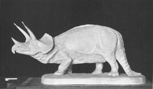 By permission of the American Museum of Natural History

Model of a three-horned Dinosaur, Triceratops, from Cretaceous of
Montana. Animal in life about 25 feet long