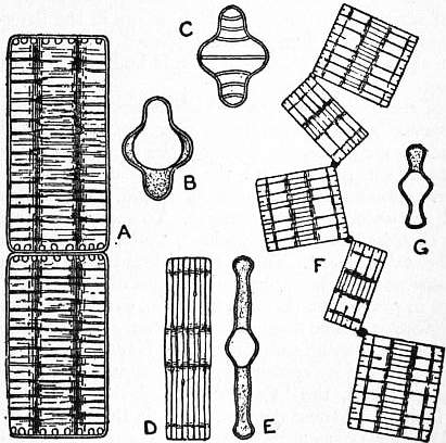 Mini perfo coins arrondis 3/8 ou 0.95 cm